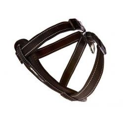 Ezydo- Harness Neoprene Black Xs-6Kg Walki-Car Harnes- 6050314- Pet Supplies