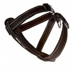 EZYDO- Harness Neoprene Black S-10Kg Walki-Car Harnes- 6050316- Pet Supplies