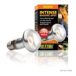 EXOTERR- Intense Basking Spot 50W S20 E27 Orang- 2202450- Pet Supplies