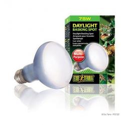 EXOTERR- Daylight Basking Spot 75W R20 E27 Gree- 2202720- Pet Supplies