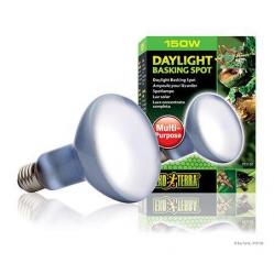EXOTERR- Daylight Basking Spot 150W R30 E27 Gree- 2202740- Pet Supplies