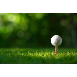 Gopher Golf Tee- Gadgets