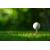 Gopher Golf Tee- Gadgets