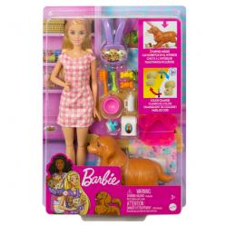 Barbie Doll and Newborn Pups Playset HCK75