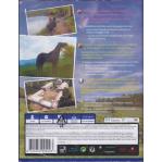 PlayStation 4 Windstorm: Start of a Great Friendship