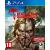 Dead Island  Definitive Collection  PS4