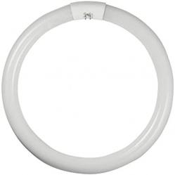 Circular Fluorescent Tube T9 LC G10q 40W/865