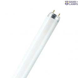 Fluorescent Tube 36W/54-1 765 1m