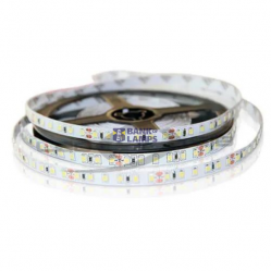 5M LED Strip12W/M 24Vdc red IP67