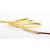 5M Tape LED 8.3W/m 12V 2700K IP20