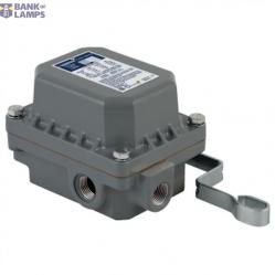 FLOAT SWITCH 9036DR31