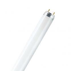 Fluorescent Tube MIX  36W/31-830 T8 RADIUM  ELG