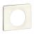 Plate IP20, IK02, 53.6 mm, 100 mm, 8.5 mm, 1-Gang