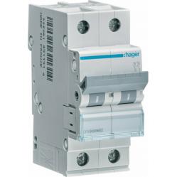 Disjunctor 2P 6kA C-25A 2M