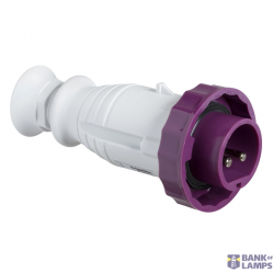 Plug Kaedra Box, 2P, 16 A, 20–25 V AC, IP67, Pratika Wander - Straight - 16 A - - 20...25 V AC