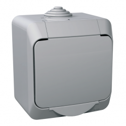 Cedar Plus - 1pole switch - 16AX, grey