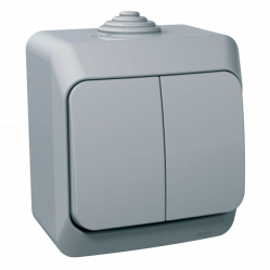 Cedar Plus - 1pole 2-circuits switch - 16AX, grey