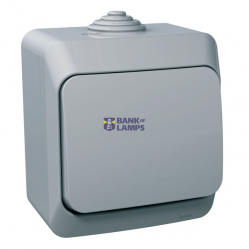 Cedar Plus - 1pole 2way switch - 16AX, grey