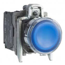 Harmony XB4, Illuminated push button, metal, flush, blue, Ø22, spring return, 1 NO + 1 NC 24 V AC/DC