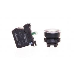 Harmony XB5, Illuminated push button, plastic, flush, white, Ø22, spring return, 24 V AC/DC, 1 NO + 1 NC