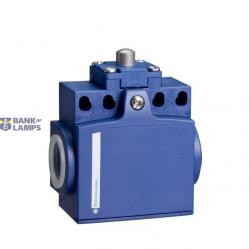 Limit Switch 1NO+1NC Snap Plunger
