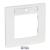 Plate Niloe 1 gang with label holder white
