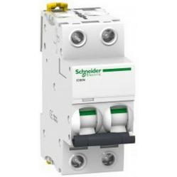 Miniature circuit-breaker, Acti9 iC60N, 2P, 2 A, D curve, 6000 A (IEC 60898-1), 50 kA (IEC 60947-2)