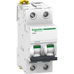 Miniature circuit-breaker, Acti9 iC60N, 2P, 10 A, D curve, 6000 A (IEC 60898-1), 10 kA (IEC 60947-2)