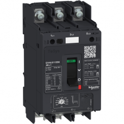 Motor circuit breaker TeSys GV4LE 3P 80A magnetic 100kA with lugs