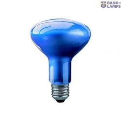 Reflector Incandescent Bulb E27 75W R95 3500K 35