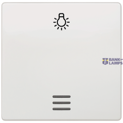 Rocker Switch DELTA i-System Window Titanium White
