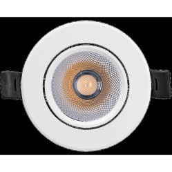 LED Luminaire SPOT 10W 3000K IP20 WT Radium
