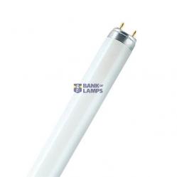 15W/830 T8 Starlicht