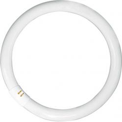 LUMILUX® T9 C 32 W/840 G10Q