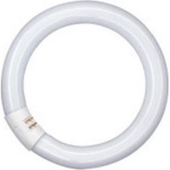 LUMILUX® T9 C 40 W/865 G10Q