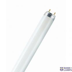 Fluorescent Tube 58W/30 T8 Radium
