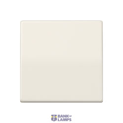 Centre plate AS591