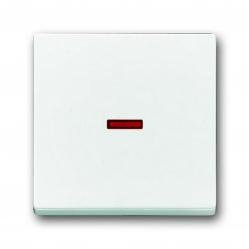 1789-84 CoverPlates (partly incl. Insert) future®, Busch-axcent®, solo®; carat® Studio white