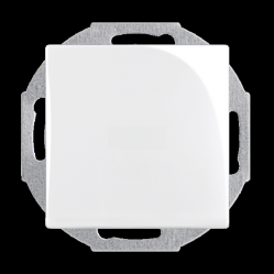 2538-94-507 Cover Plates (partly incl. Insert) Blind cap 0 gang alpine white - Basic55