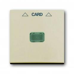 1792-92-507 Cover Plates (partly incl. Insert) Switch/push button Hotel card Hotel card Card white - Basic55