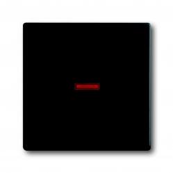 1789-885 CoverPlates (partly incl. Insert) future®, Busch-axcent®, carat® black matt