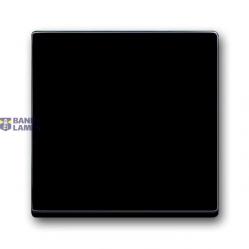1786-81-500 Cover Plates (partly incl. Insert) Switch/push button Single rocker Without imprint anthracite - 63x63