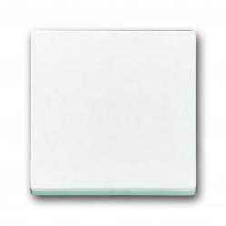 1786-84 CoverPlates (partly incl. Insert) future®, Busch-axcent®, solo®; carat® Studio white