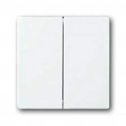 1785-84 CoverPlates (partly incl. Insert) future®, Busch-axcent®, solo®; carat® Studio white