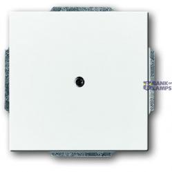 1742-84 CoverPlates (partly incl. Insert) future®, Busch-axcent®, solo®; carat® Studio white