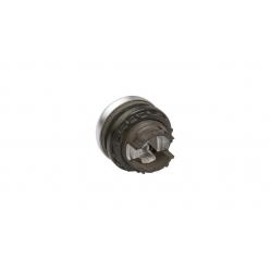 M22-DL-W Illuminated pushbutton actuator, RMQ-Titan, Flush, momentary, White, Blank, Bezel: titanium