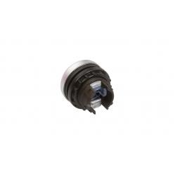 M22-DL-B Illuminated pushbutton actuator, RMQ-Titan, Flush, momentary, Blue, Blank, Bezel: titanium