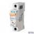 PL7-B13/1 Miniature circuit breaker (MCB), 13 A, 1p, characteristic: B