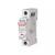 PL6-B2/1 Miniature circuit breaker (MCB), 2 A, 1p, characteristic: B