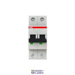S202-B6 Miniature Circuit Breaker - 2P - B - 6 A